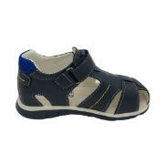GD3123 ΜΠΛΕ GIARDINO D'ORO
