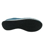 204009 AEROSTEP ΣΙΕΛ