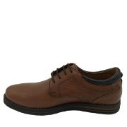 245 ΤΑΜΠΑ ANTONIO