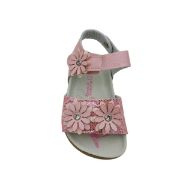GD5206 ΡΟΖ GIARDINO D ORO