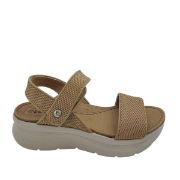 8067-8 ΚΑΜΕΛ SABINO