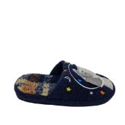 DS-32782 ΜΠΛΕ CORIFEI