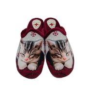 60011 ΜΠΟΡΝΤΩ ALCALDE