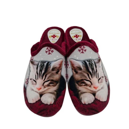 60011 ΜΠΟΡΝΤΩ ALCALDE