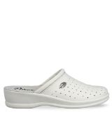 10116153.W ΑΣΠΡΟ PAREX