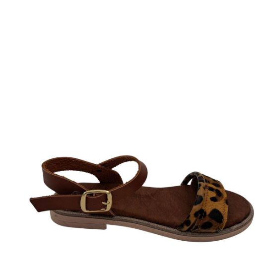 3-LEO-S ΤΑΜΠΑ PIPERINO