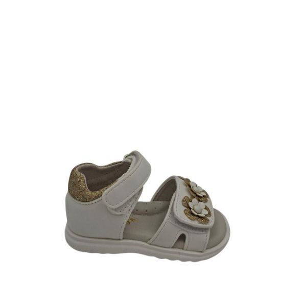 230-288S ΑΣΠΡΟ DOREMI