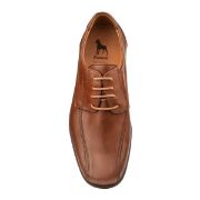 10142-15-019 ΤΑΜΠΑ BOXER