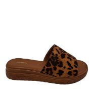 829-26042 ΛΕΟΠΑΡ ADAMS