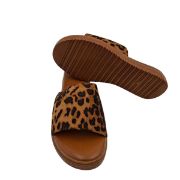 829-26042 ΛΕΟΠΑΡ ADAMS