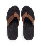 11833002.K ΚΑΦΕ PAREX