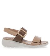 11633127.E ΜΠΕΖ PAREX