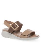 11633127.E ΜΠΕΖ PAREX