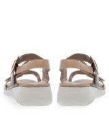 11633127.E ΜΠΕΖ PAREX