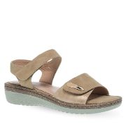 11633063.E ΜΠΕΖ PAREX