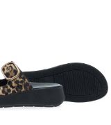 11533040.LE ΛΕΟΠΑΡ PAREX