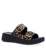 11533040.LE ΛΕΟΠΑΡ PAREX