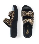 11533040.LE ΛΕΟΠΑΡ PAREX