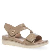 11633061.E ΜΠΕΖ PAREX