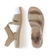 11633061.E ΜΠΕΖ PAREX