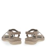 11633098.E ΜΠΕΖ PAREX