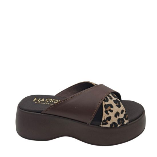 656-4333 ΚΑΦΕ ΛΕΟΠΑΡ HARRIS